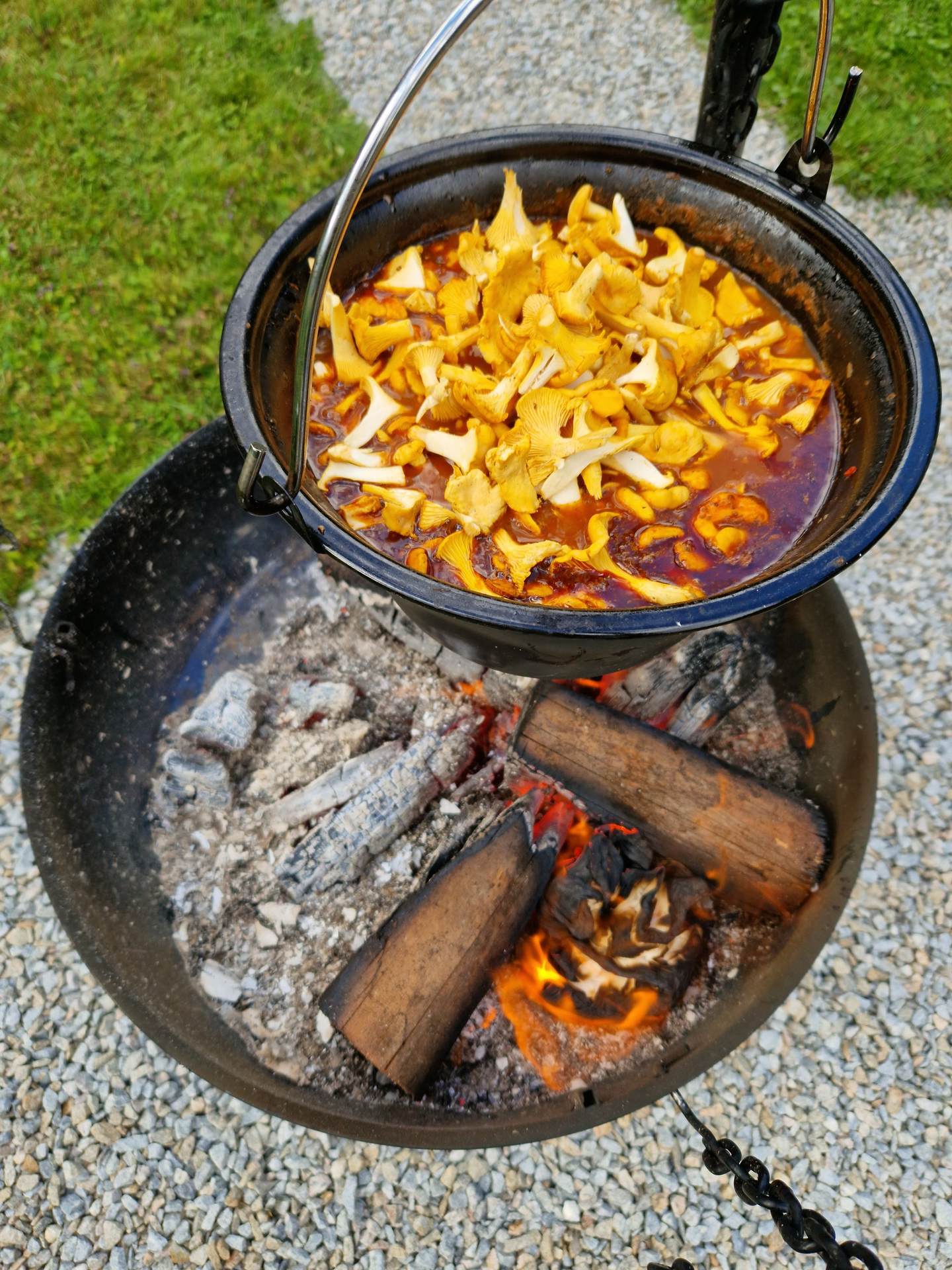 Moose stew with chanterelles cooking in a cast-iron pot hung over the fire pit